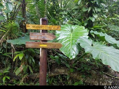 panneaux signalétiques