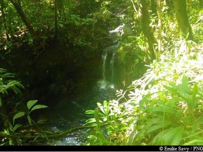 Cascade sur Bras David
