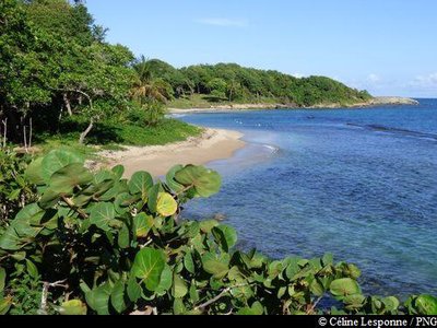 le littoral à Anse Vinty