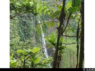 2ème Chute du Carbet