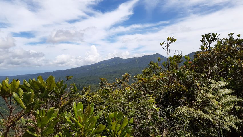 Point de vue (vers le sud), à quelques mètres du sommet